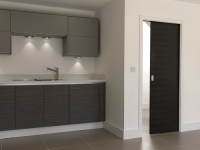 Pocket Sliding Doors